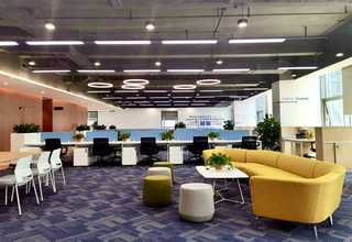 学校人造草皮墙