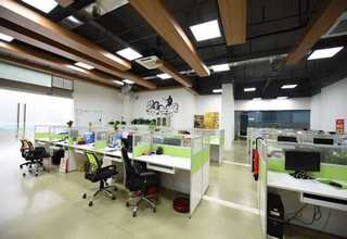 乾安长春花去哪买