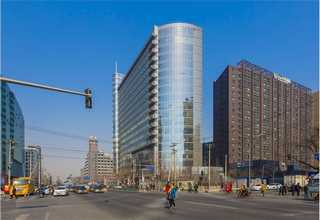 盐湖区国槐树苗市面价